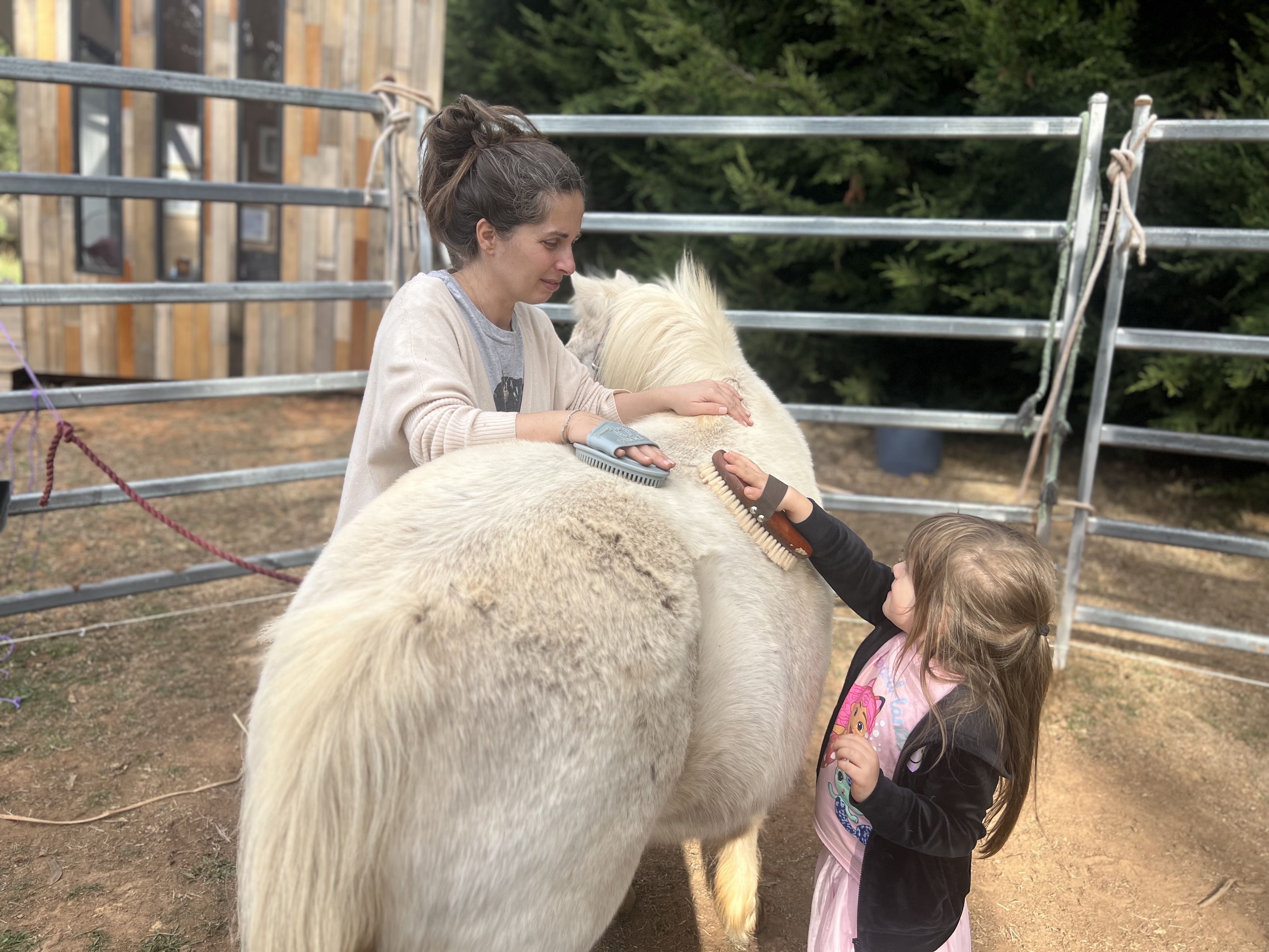 woman and kis brushing horse