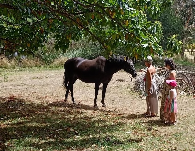 kid women and horse
