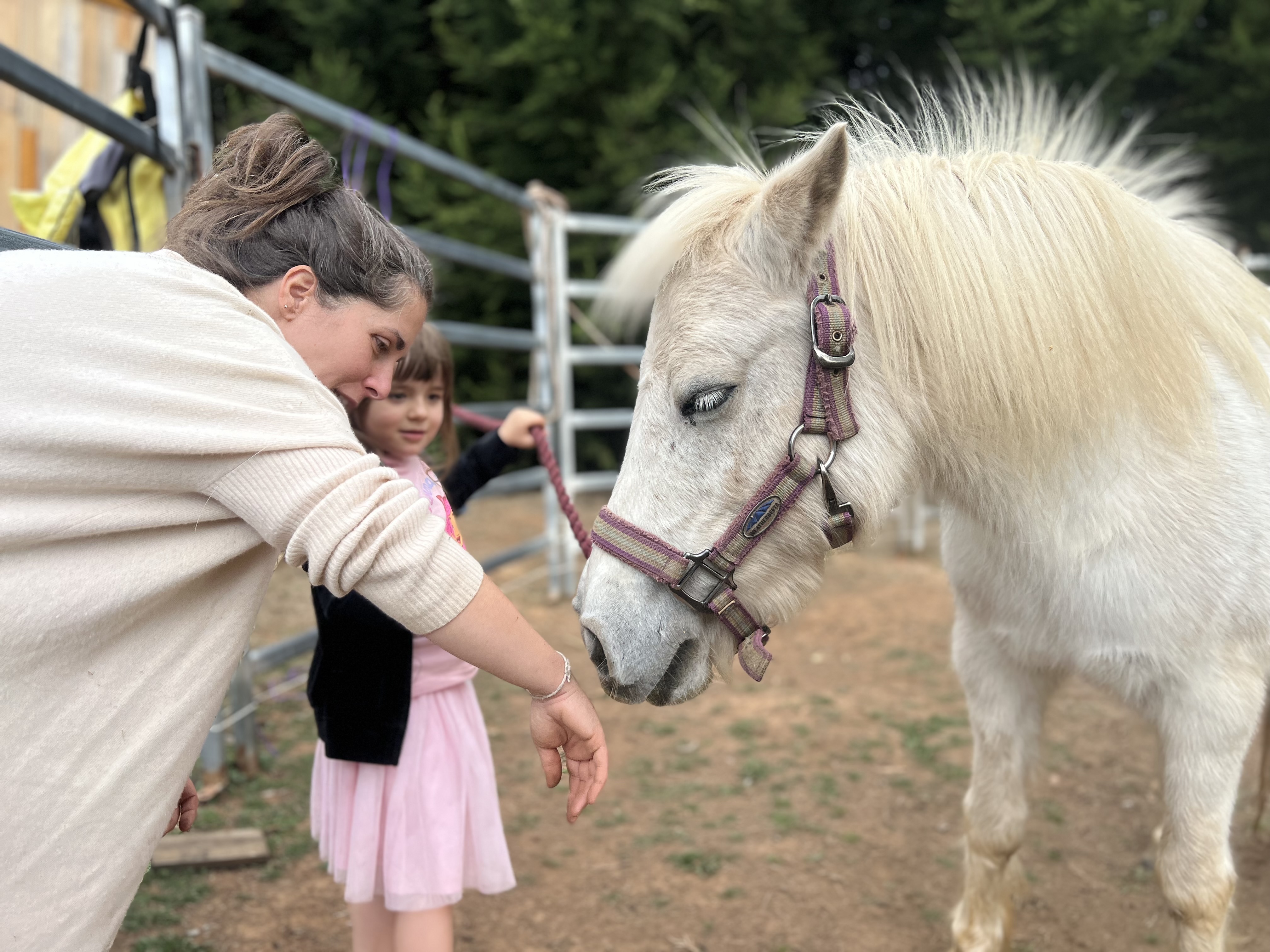 pony sniffing woman hand