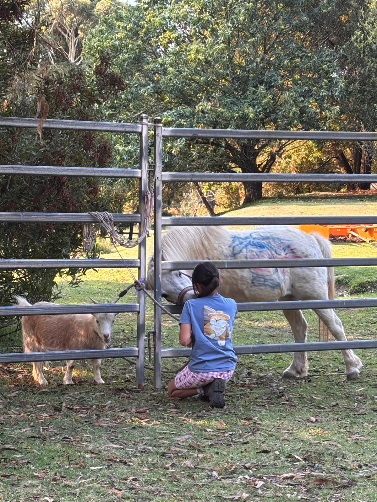 kid painting horse