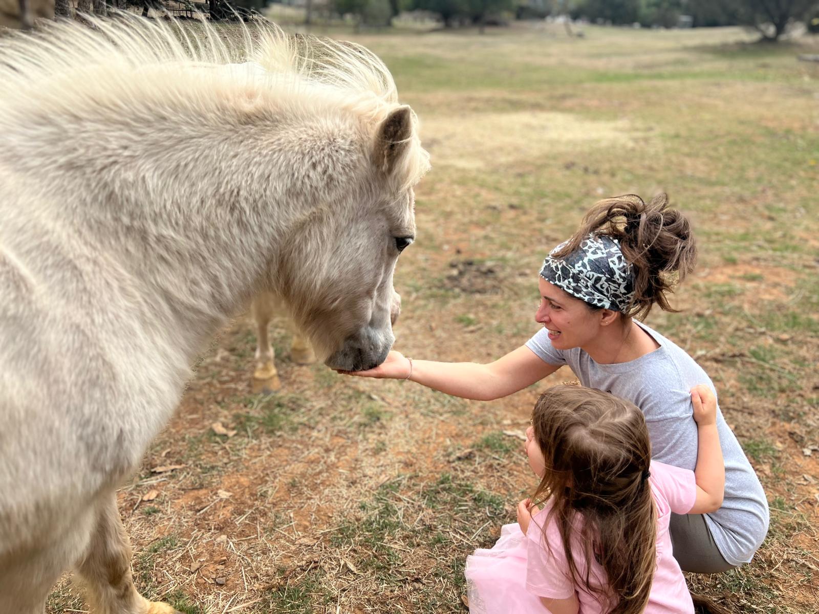woman feeding horse with kid