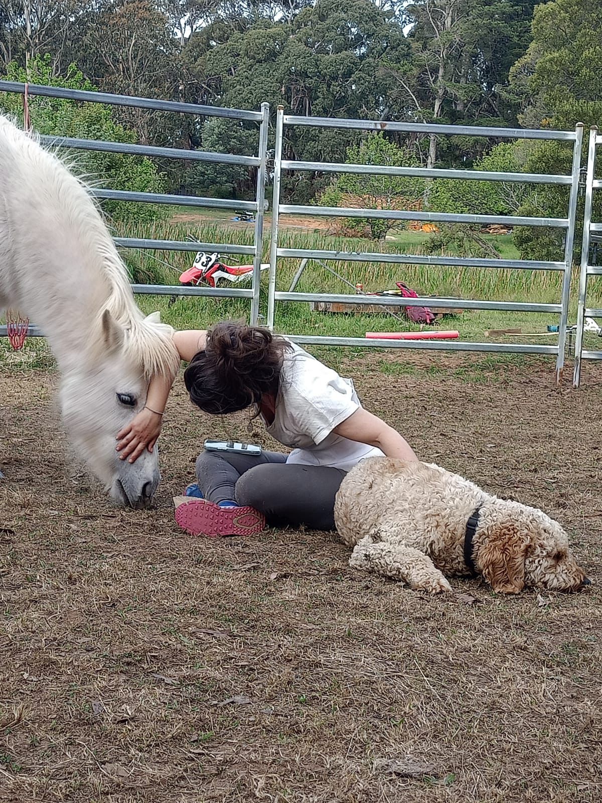 women patting horse and dog