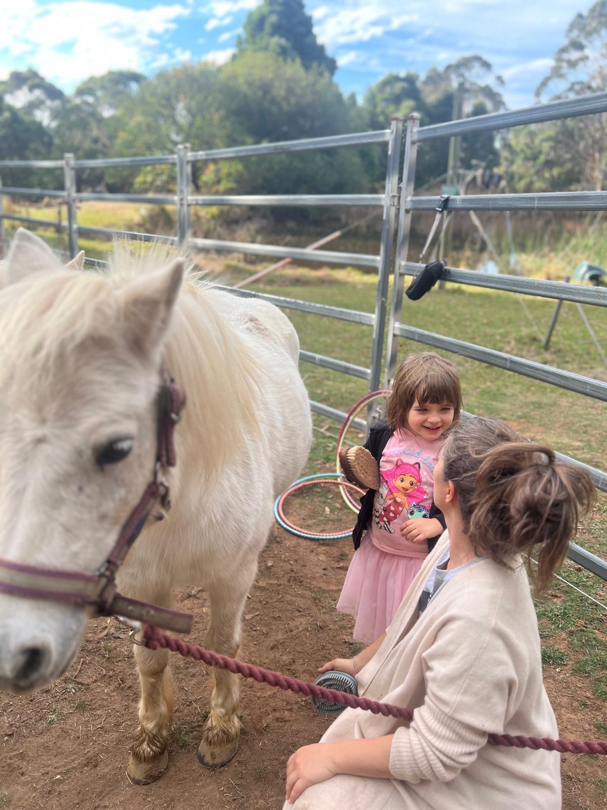 little girl feeding an horse