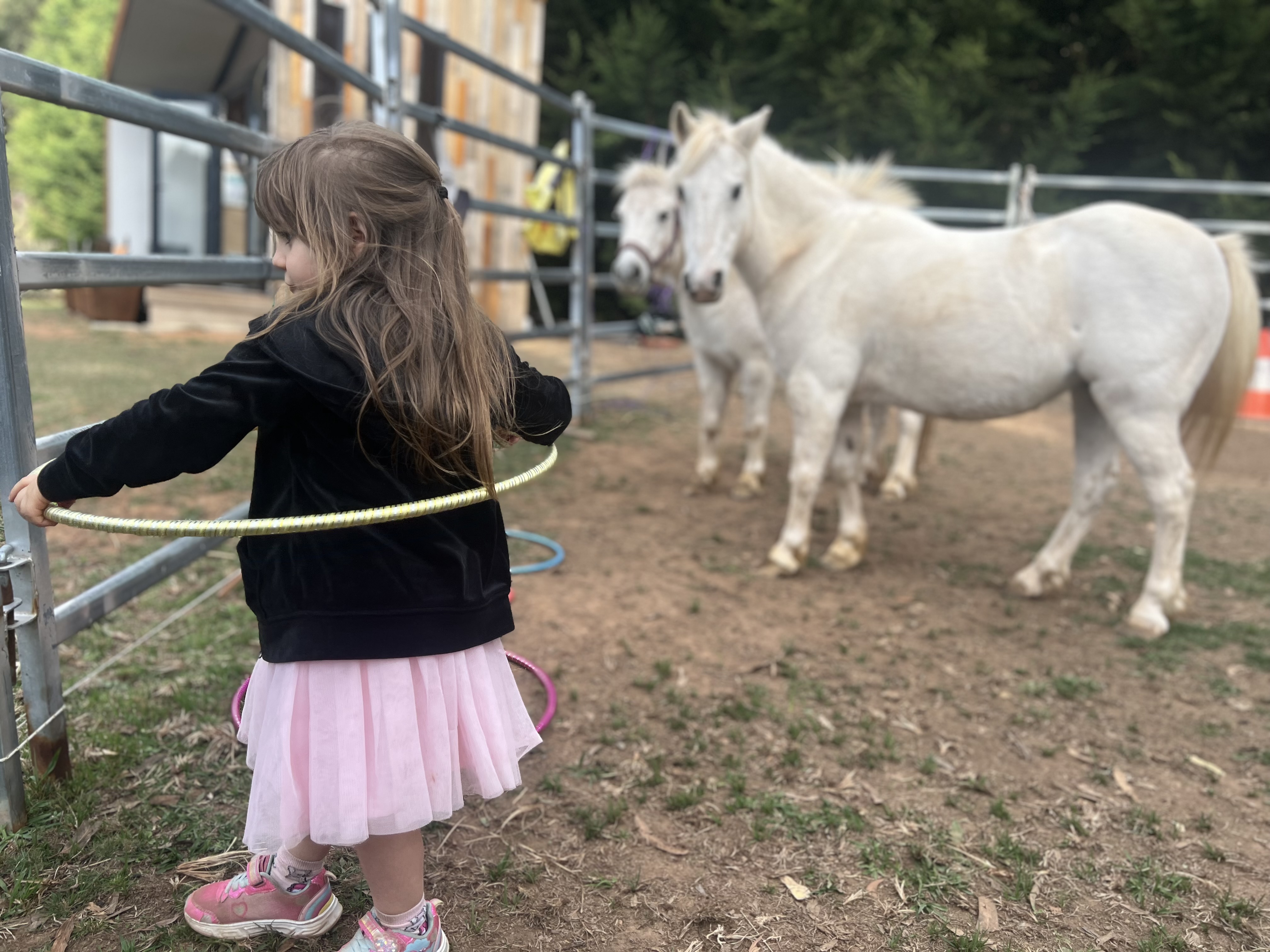 kid hoolahop and horse